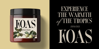 Bosceh Font Poster 3