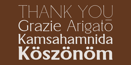 Hillgers Font Poster 12