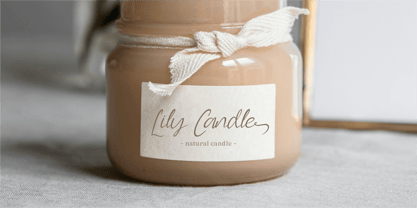 CF Zerellia Spring Font Poster 10