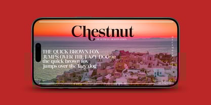 Quarter Theory Font Poster 9