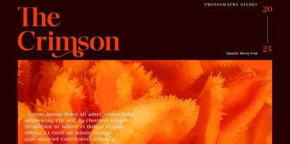 Quarter Theory Font Poster 5