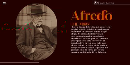 Quarter Theory Font Poster 4