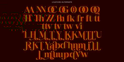 Quarter Theory Font Poster 6