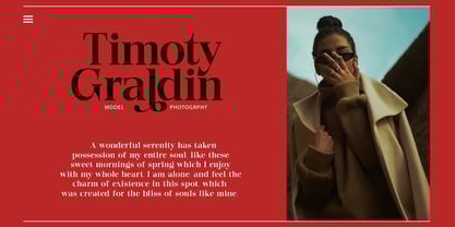 Quarter Theory Font Poster 3