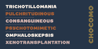 Chocomo Font Poster 7