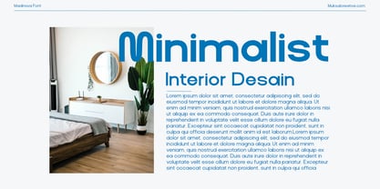 Modinova Font Poster 3