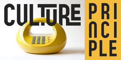 Hilumion Sans Font Poster 5