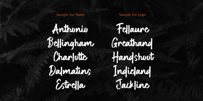 Hideline Font Poster 3