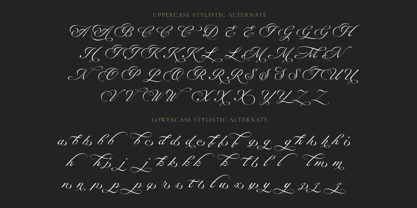 RB Anchovy Font Poster 14