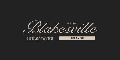 RB Anchovy Font Poster 12