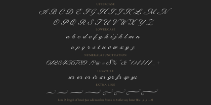 RB Anchovy Font Poster 13