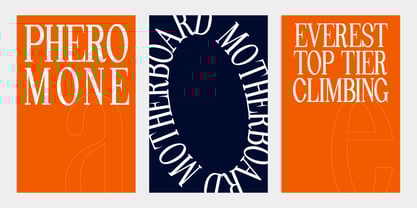 Pheromone Font Poster 3