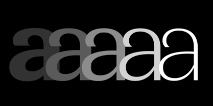 Minaya Font Poster 3