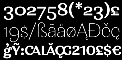 Minaya Font Poster 4