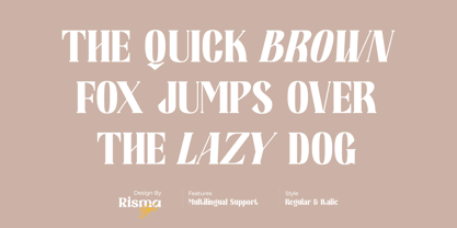 Hollgan Font Poster 3