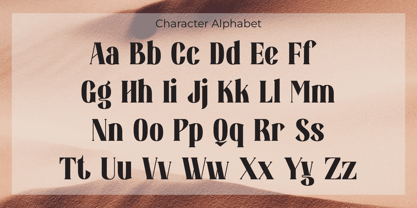 Hollgan Font Poster 4