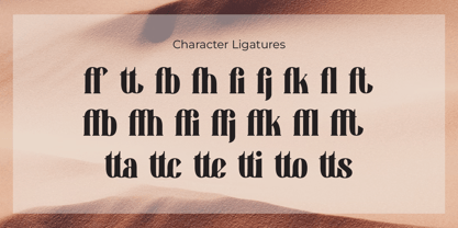 Hollgan Font Poster 5