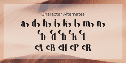 Hollgan Font Poster 6