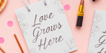 Beloved Grace Font Poster 5