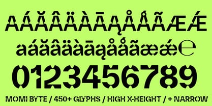 Momi Byte Font Poster 2