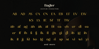 Bagler Font Poster 12