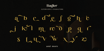 Bagler Font Poster 10