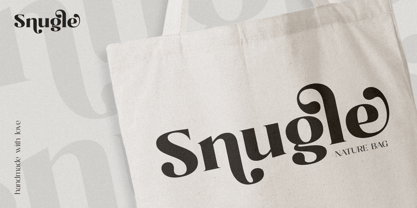 Bagler Font Poster 7