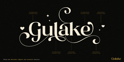 Bagler Font Poster 2