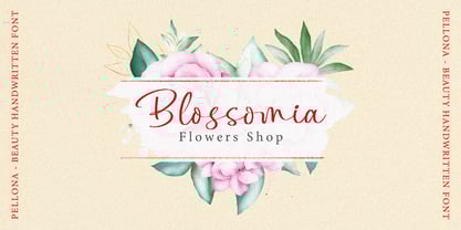 Pellona Font Poster 5