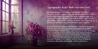 Neornata Font Poster 9