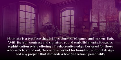 Neornata Font Poster 5