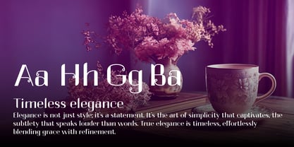 Neornata Font Poster 7