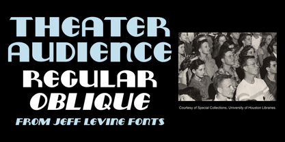 Theater Audience JNL Font Poster 1