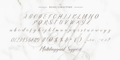 Selly Font Poster 7