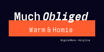 Wigola Mono Font Poster 15