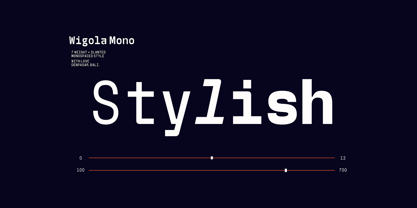 Wigola Mono Font Poster 13