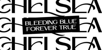 Linearity Font Poster 3