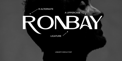 Linearity Font Poster 7