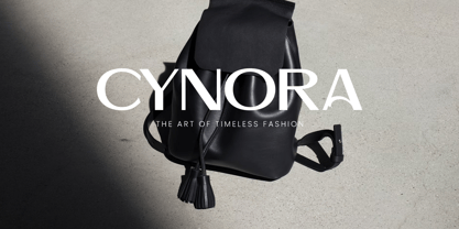 Linearity Font Poster 8