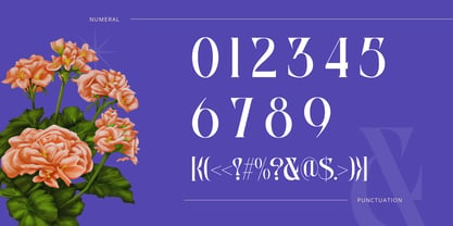 Hepab Font Poster 10