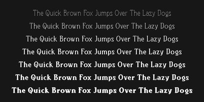 Richsail Font Poster 3