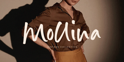 Diamond Days Font Poster 5