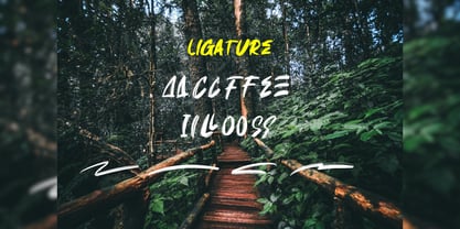 Briskates Font Poster 3