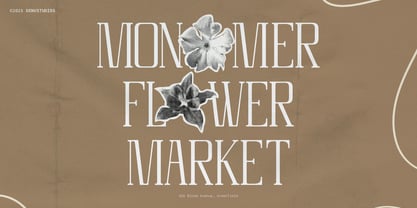 Celvio Monase Font Poster 4