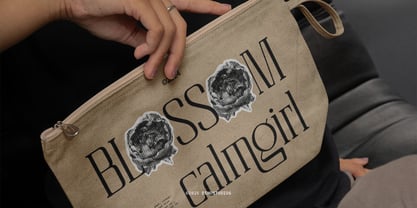 Celvio Monase Font Poster 7