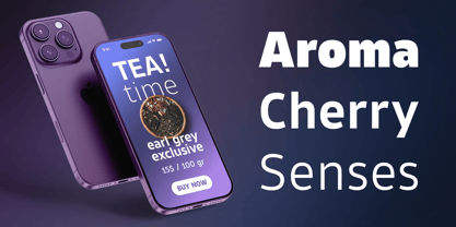 Tosia Nova Font Poster 4