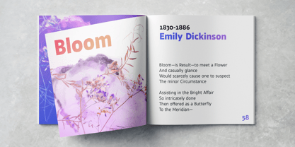 Tosia Nova Font Poster 8