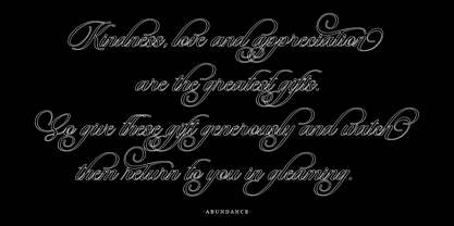 Beautiful Heliography Outline Font Poster 11
