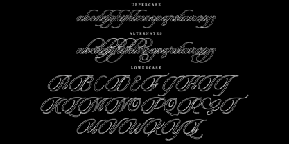Beautiful Heliography Outline Font Poster 6