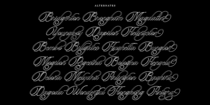 Beautiful Heliography Outline Font Poster 7